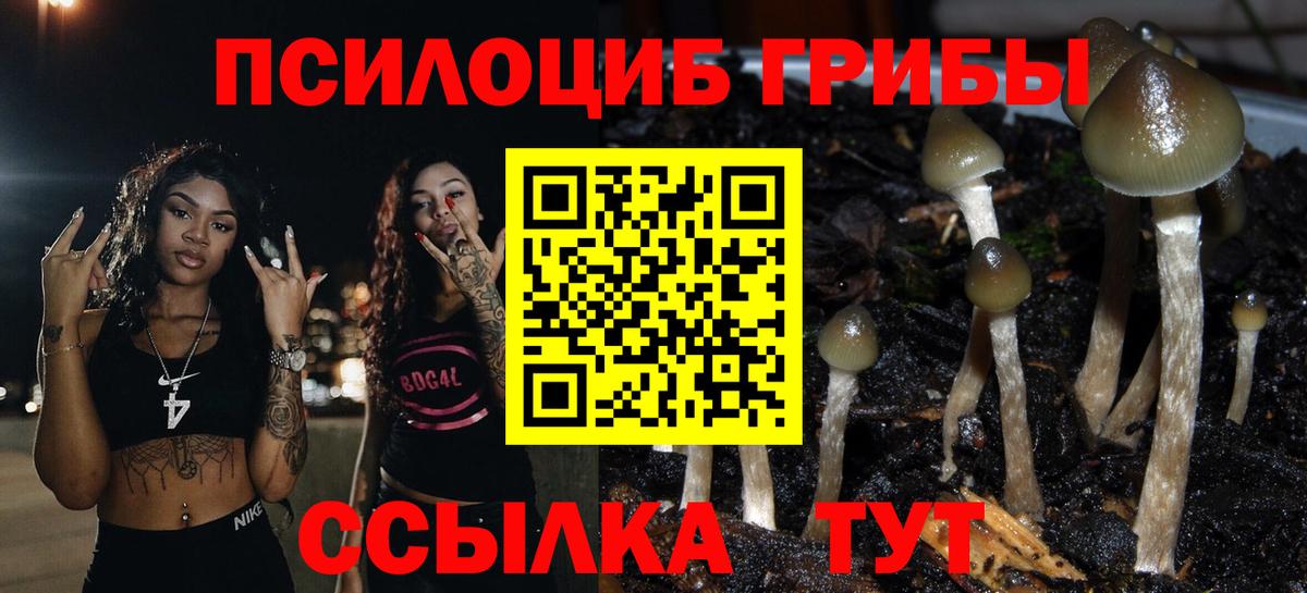 Галлюциногенные грибы прущие грибы Новоалтайск